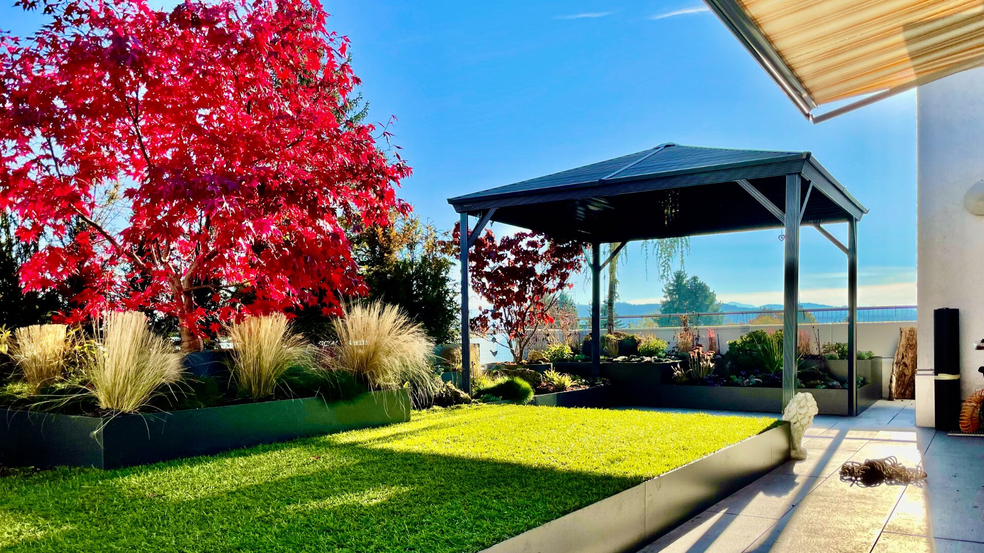Ein moderner Hinterhof mit grünem Rasen, einem rotblättrigen Baum, Hochbeeten und einem schattigen Pavillon. Das Sonnenlicht wirft Schatten, und im Hintergrund ist ein klarer blauer Himmel zu sehen.