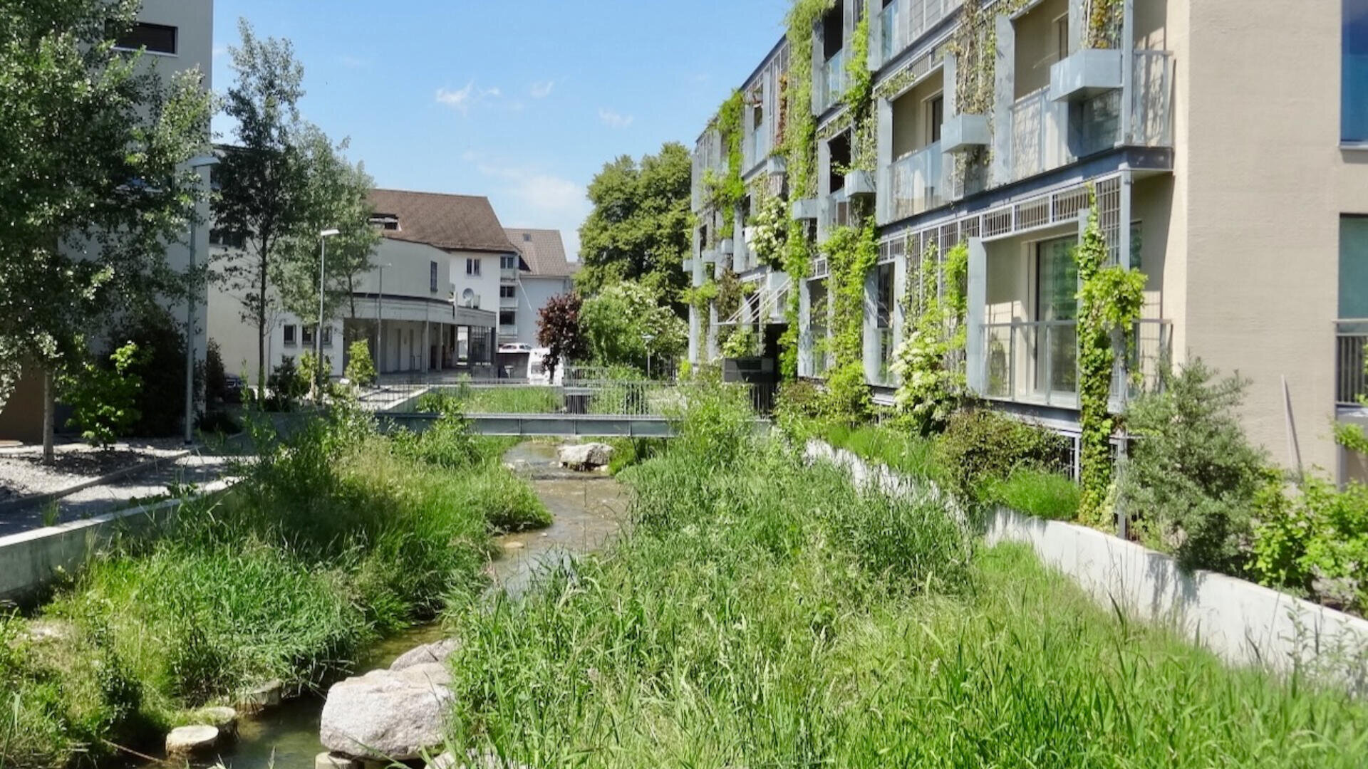 Ein kleiner Bach fließt zwischen modernen Wohnhäusern und üppigem Grün unter blauem Himmel, mit einer Brücke über das Wasser und Wohnhäusern im Hintergrund.