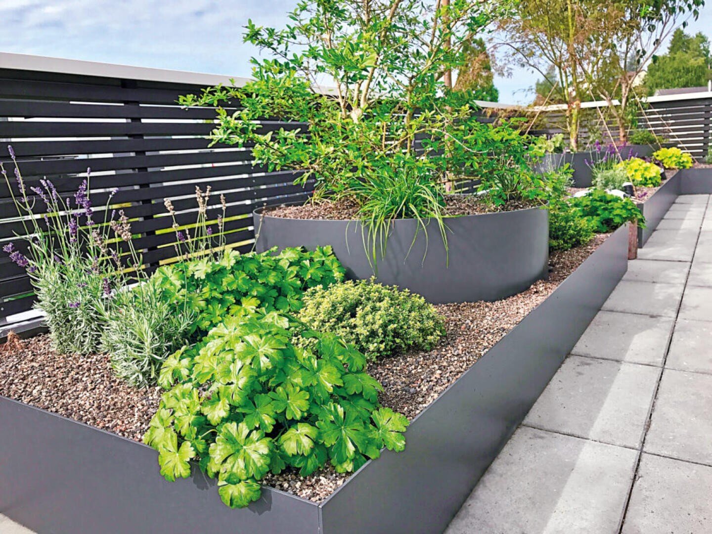 Modern rooftop garden with raised gray planters filled with a variety of green plants and small shrubs, surrounded by gravel and bordered by a sleek horizontal slat fence.