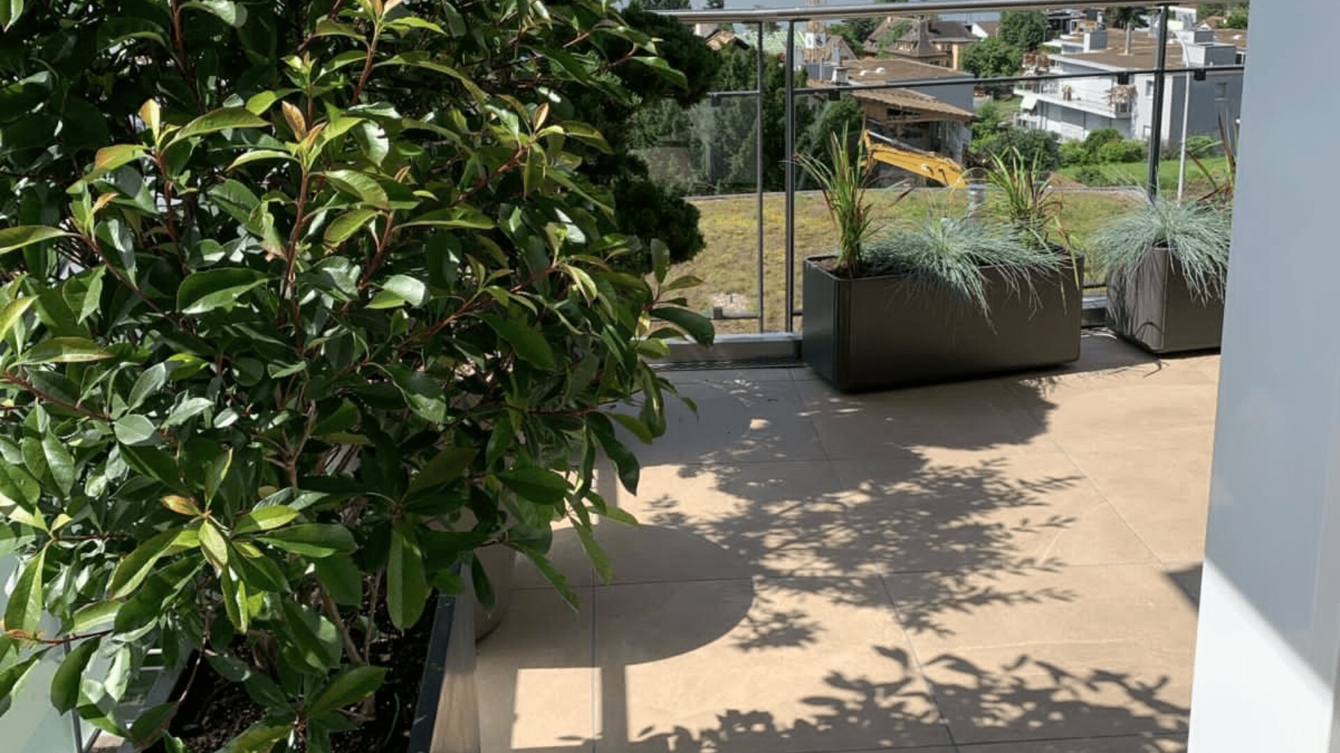 Ein sonniger Balkon mit großen grünen Topfpflanzen und Gräsern, hellbraunen Bodenfliesen, einem Glasgeländer und einem Blick auf die umliegenden Häuser und ein gelbes Baufahrzeug im Hintergrund.