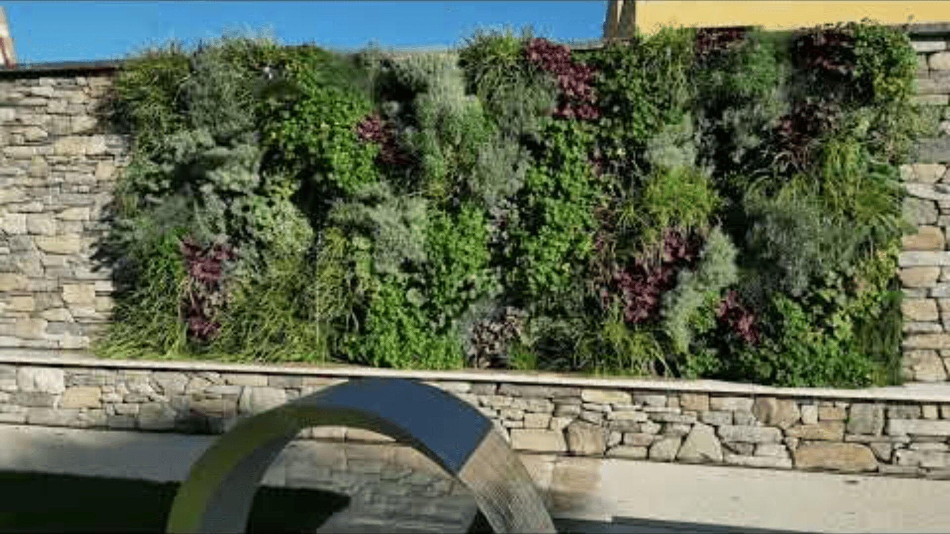 A stone wall features a lush vertical garden with various green and purple plants. In front of the wall is a curved metal sculpture casting a shadow on the ground.