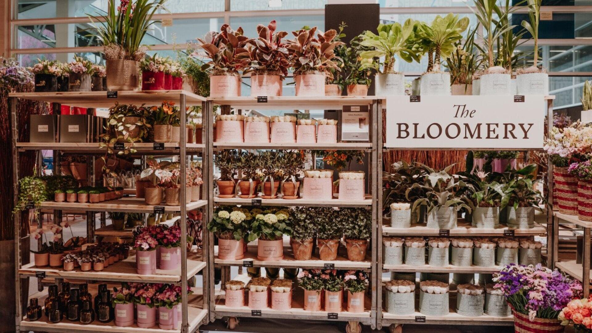 Shelves filled with a variety of potted plants and flowers in assorted pots are displayed in a store called The Bloomery. The setup is colorful and neatly organized, with a sign displaying the stores name.