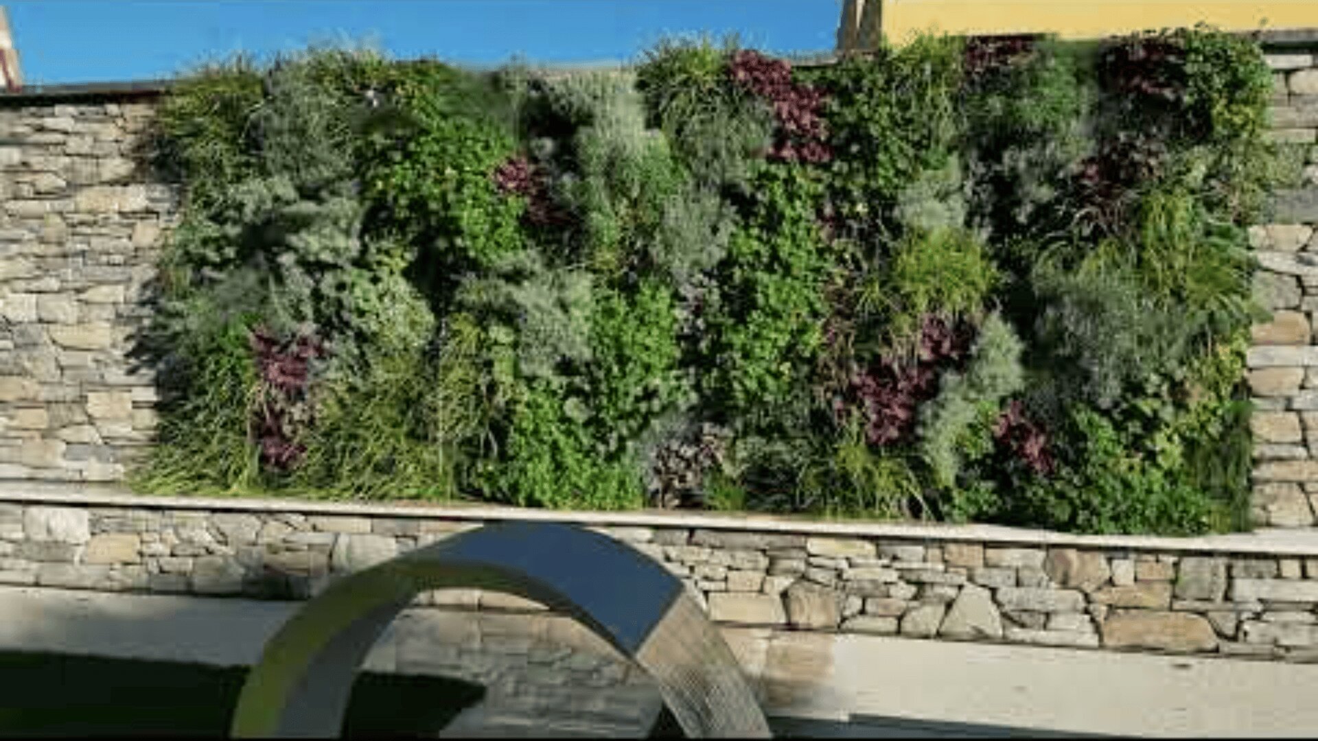 Eine Steinmauer beherbergt einen üppigen vertikalen Garten mit verschiedenen grünen und burgunderroten Pflanzen, die in dichten Büscheln wachsen. Davor befindet sich eine geschwungene Metallskulptur auf einem gepflasterten Gehweg. Darüber ist der blaue Himmel zu sehen.