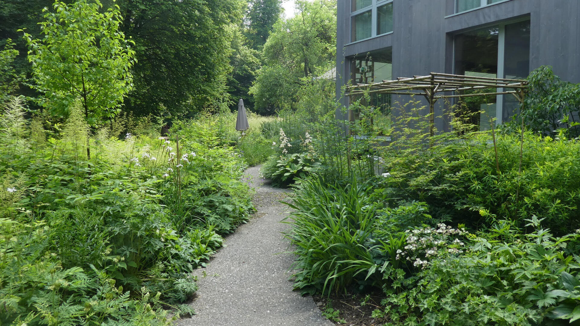 Ein schmaler Kiesweg schlängelt sich durch üppige grüne Pflanzen und hohes Laub neben einem modernen Gebäude mit großen Fenstern. Neben dem Gebäude steht eine hölzerne Pergola, und Bäume umgeben den Gartenbereich.