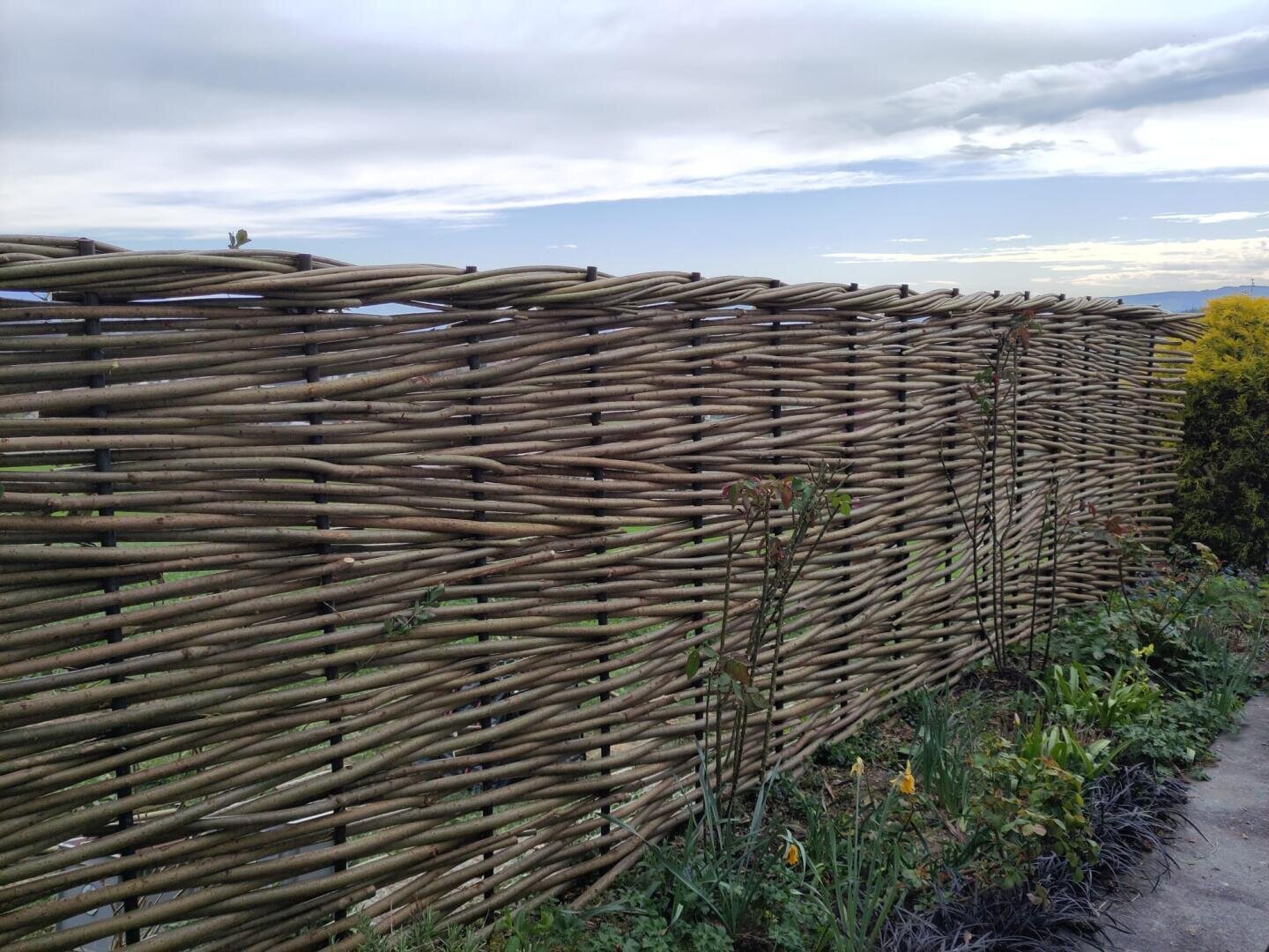 Ein hoher, geflochtener Holzzaun erstreckt sich entlang eines Gartenbeets mit grünen Pflanzen und Blumen. Der Himmel ist meist bewölkt mit einigen blauen Flecken. Der Boden neben dem Zaun ist gepflastert.