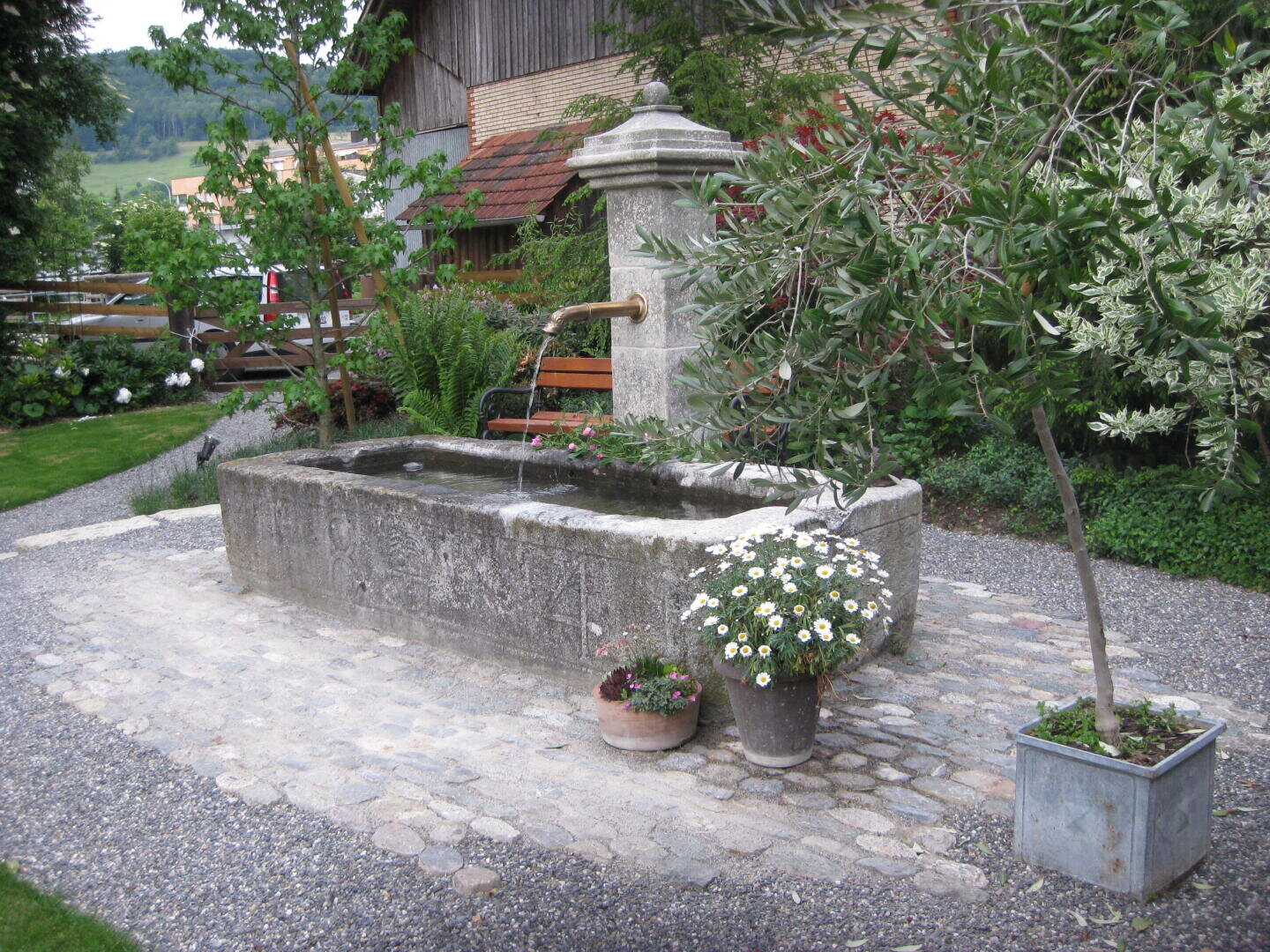 Ein rustikaler steinerner Wassertrog mit einer Metalltülle steht auf einem Kopfsteinpflaster, umgeben von Topfblumen und Pflanzen, mit Grünpflanzen und einem Holzzaun im Hintergrund.