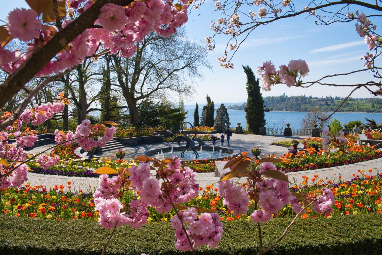 Ein lebendiger Garten mit blühenden rosa Kirschblüten umrahmt einen runden Brunnen und bunte Blumenbeete, in denen Menschen spazieren gehen und im Hintergrund ein See und Bäume unter einem klaren blauen Himmel zu sehen sind.