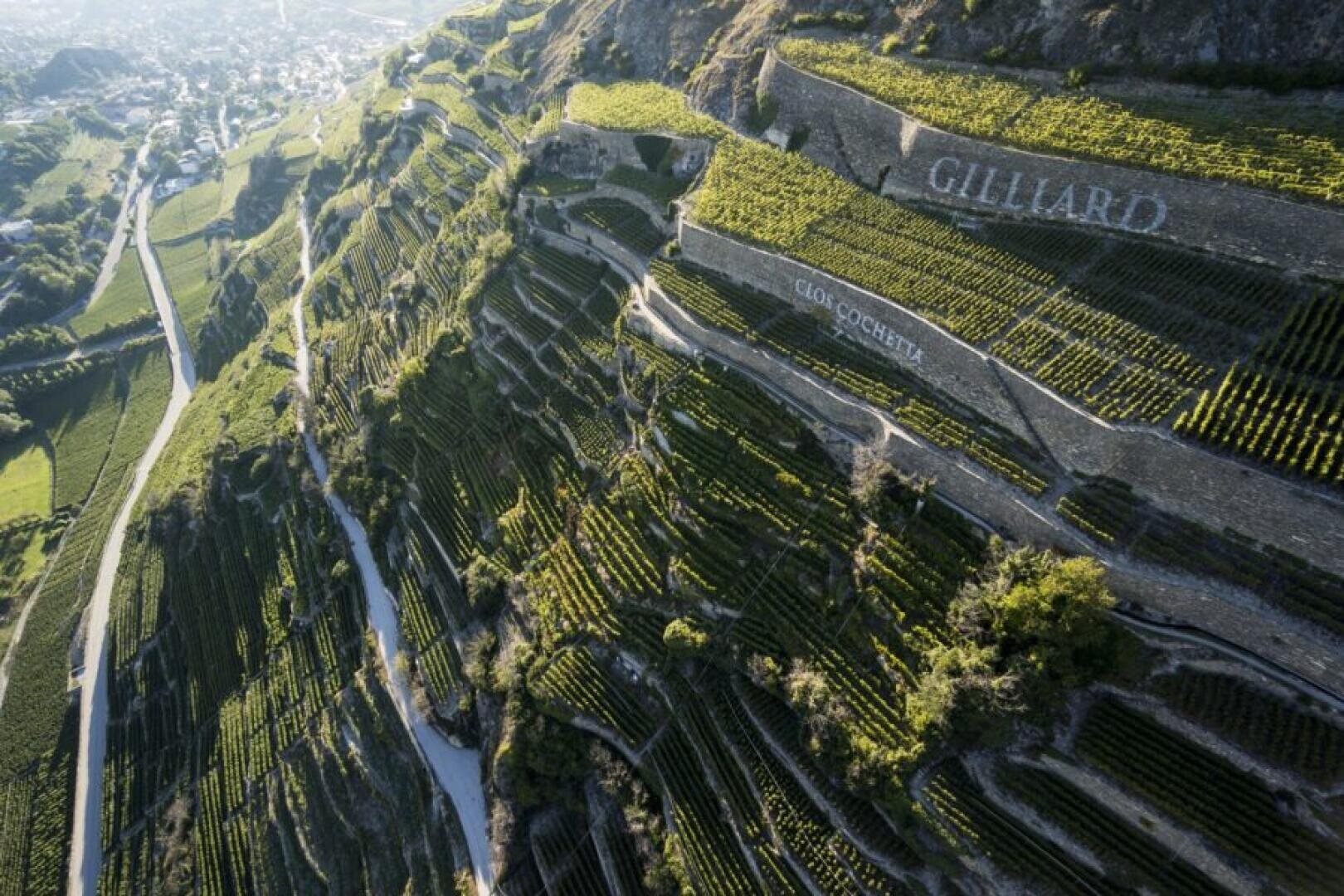 Luftaufnahme von terrassierten Weinbergen an einem steilen Hang mit gewundenen Wegen und Steinmauern. Die Namen GILLIARD und CLOS ST-GOTHARD sind auf den Weinbergsterrassen zu sehen. Die Landschaft ist üppig und grün.