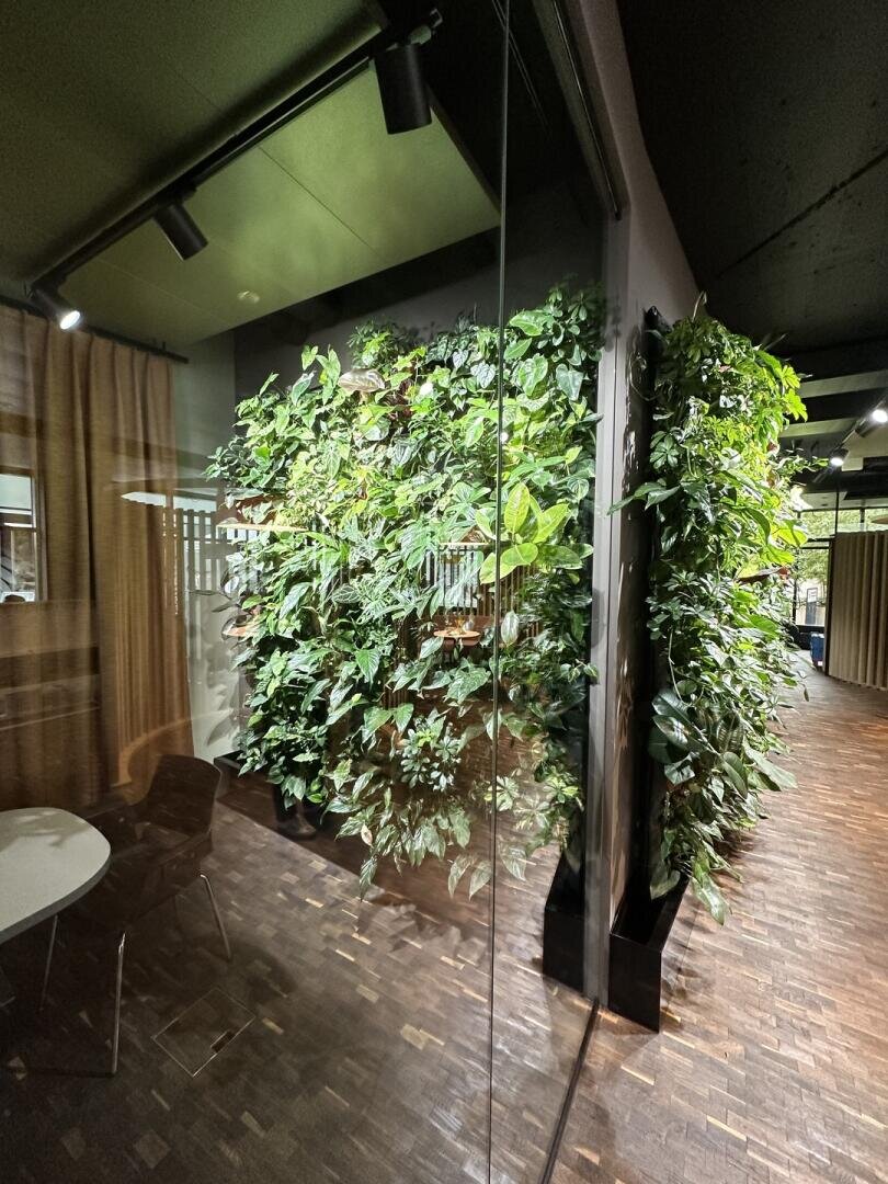 Ein modernes Innenbüro mit einer vertikalen grünen Wand mit üppigen Pflanzen, Glaswänden, einem runden weißen Tisch und einem braunen Stuhl auf einem dunklen Holzboden.