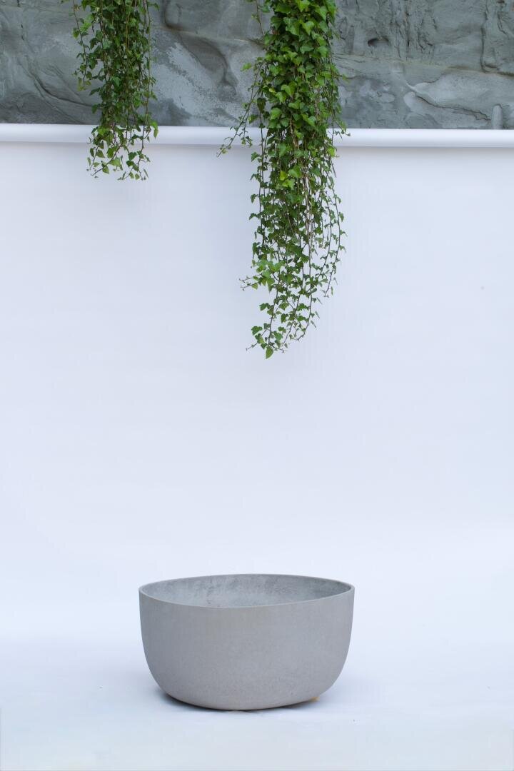 A large, empty gray concrete bowl sits on a white surface. Two long green leafy vines hang down from above against a light gray textured wall in the background.