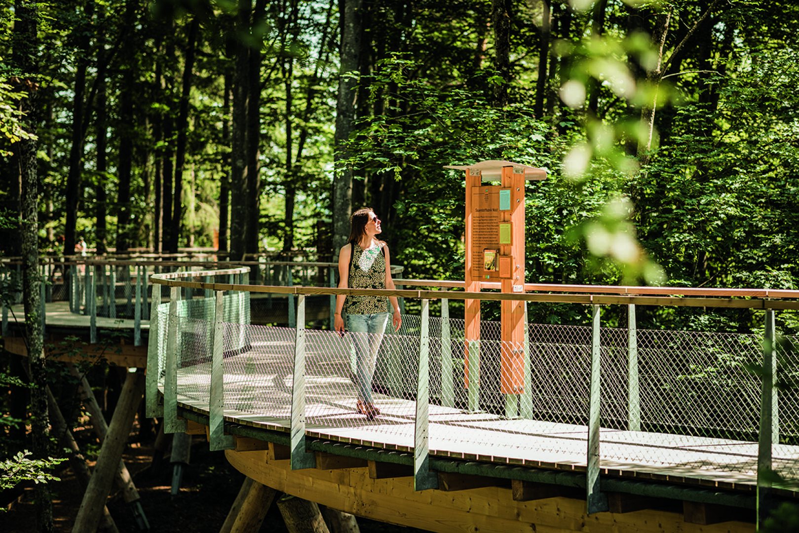 Eine Frau geht an einem sonnigen Tag auf einem erhöhten Holzweg mit Metallgeländer durch einen üppigen grünen Wald und hält an, um ein Informationsschild zu lesen.
