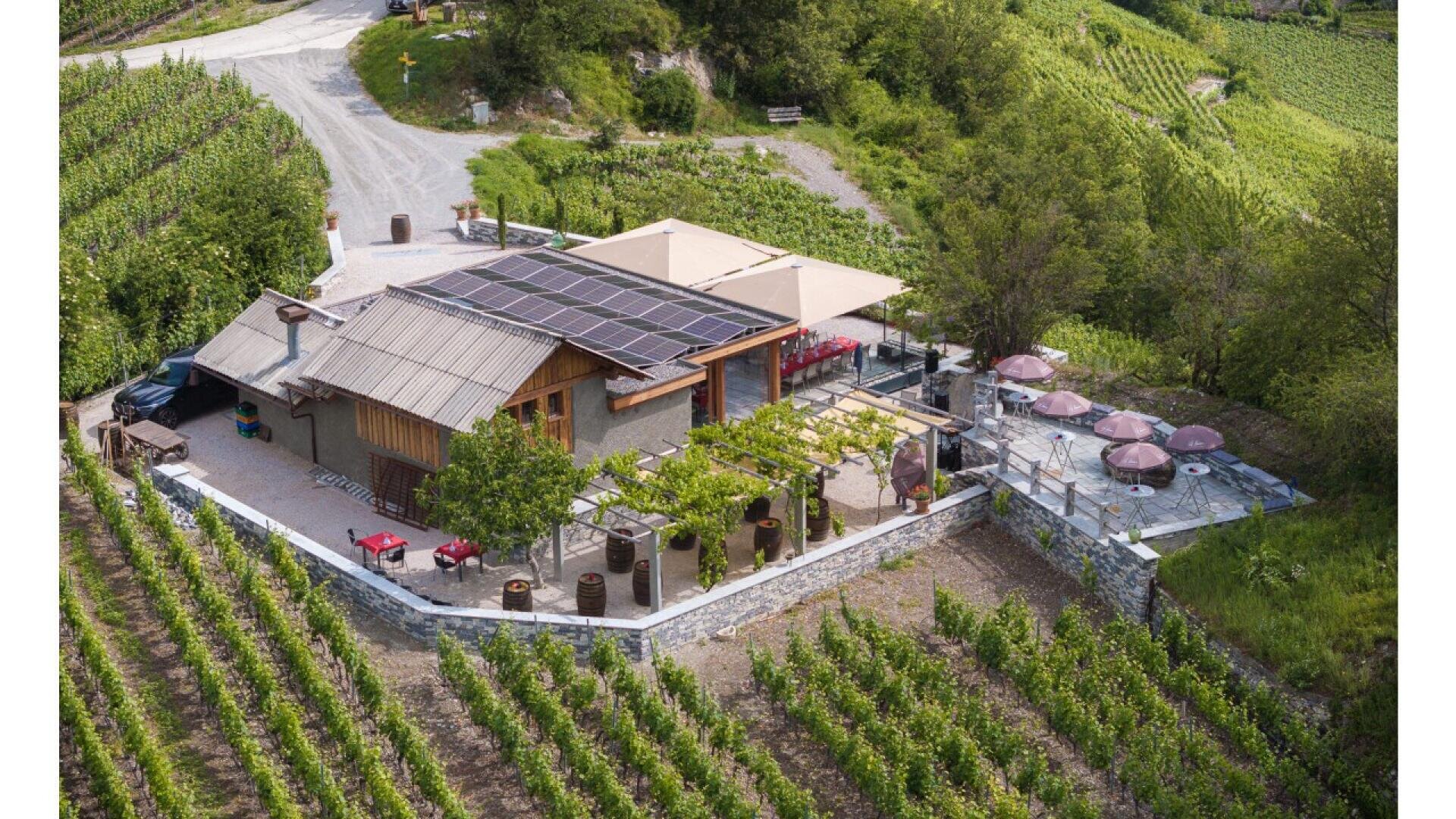 Aerial view of a small building with solar panels on the roof, surrounded by lush green vineyards. Outdoor seating with umbrellas and a pergola are visible on a stone patio, all enclosed by a low stone wall.