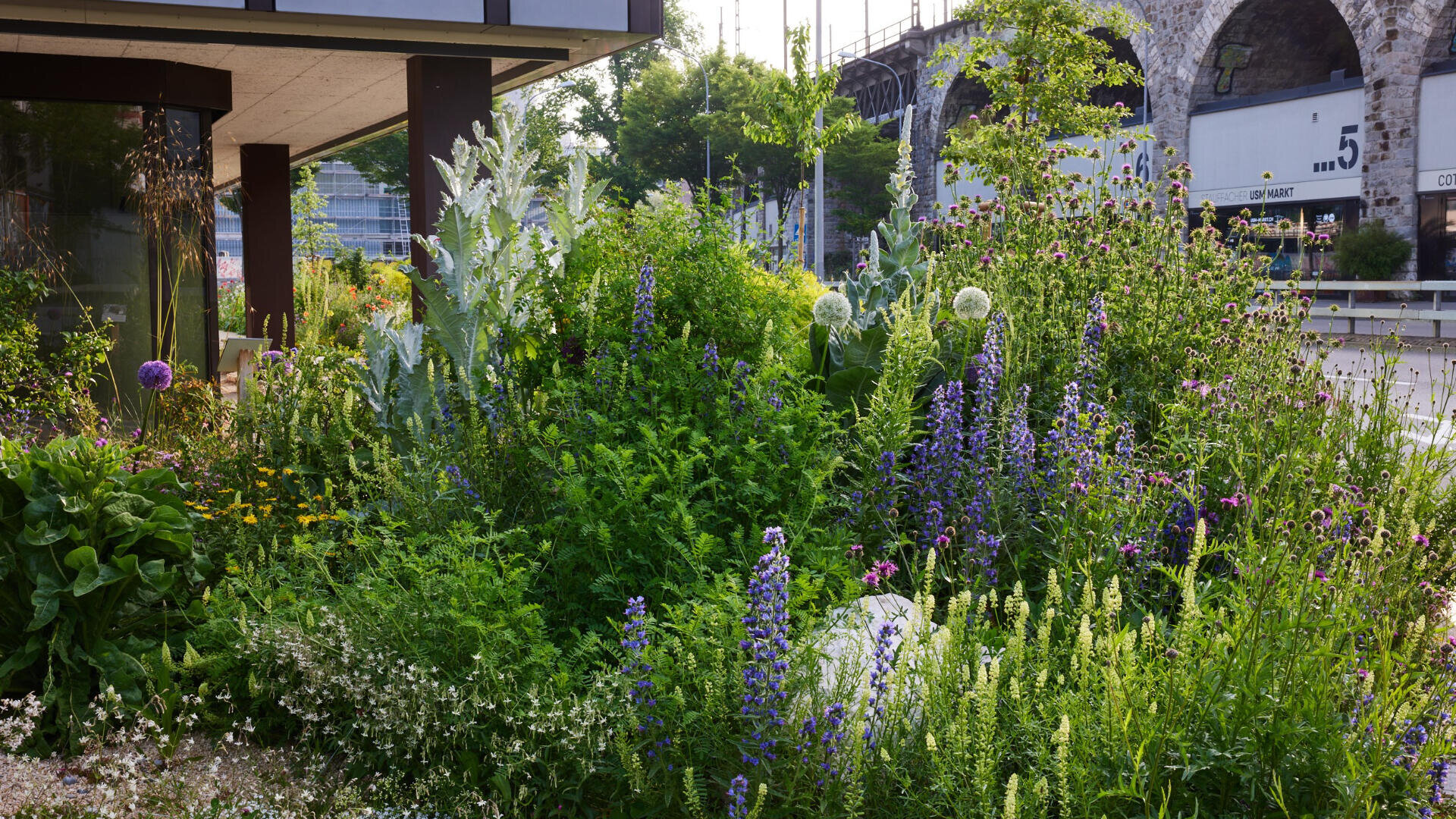 Ein üppiger städtischer Garten mit hohen grünen Pflanzen und bunten Wildblumen, die neben einem modernen Gebäude und in der Nähe einer Straße mit bogenförmigen Steinstrukturen und nummerierten Türen im Hintergrund wachsen.