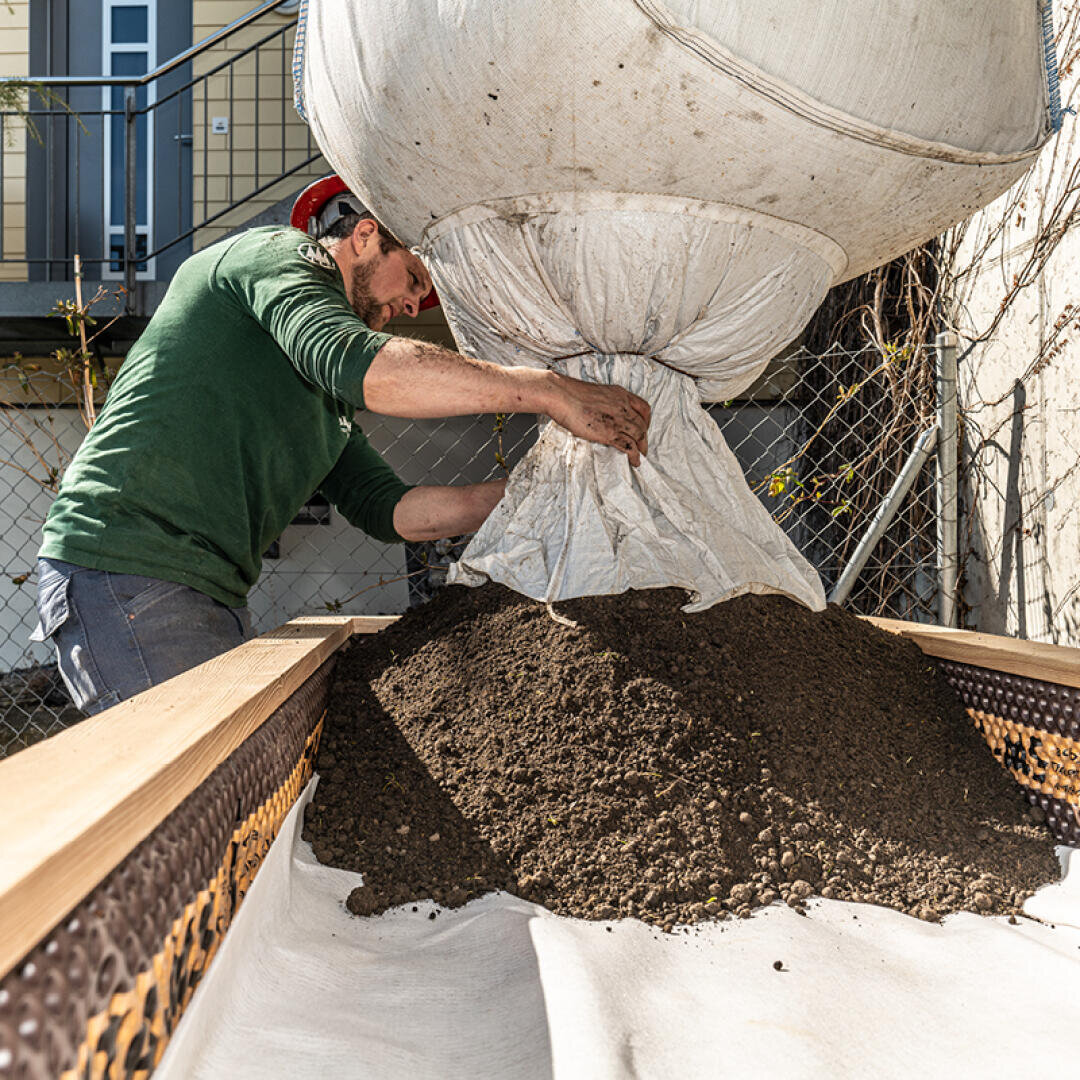 Eine Person leert Erde aus einem großen weißen Sack auf ein erhöhtes Gartenbeet und bereitet es für die Bepflanzung vor. Das Sonnenlicht beleuchtet die Szene, und im Hintergrund ist ein Haus mit Treppe zu sehen.