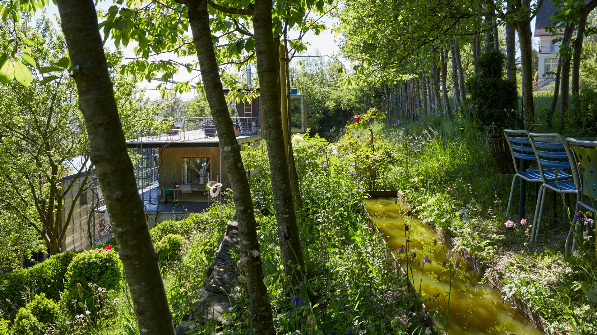 Ein üppiger, grüner Garten mit hohen Bäumen, einem schmalen Wasserkanal und Reihen von leeren Stühlen auf der rechten Seite; im Hintergrund ist ein Holzhaus mit großen Fenstern zu sehen, umgeben von Pflanzen und Sonnenlicht.