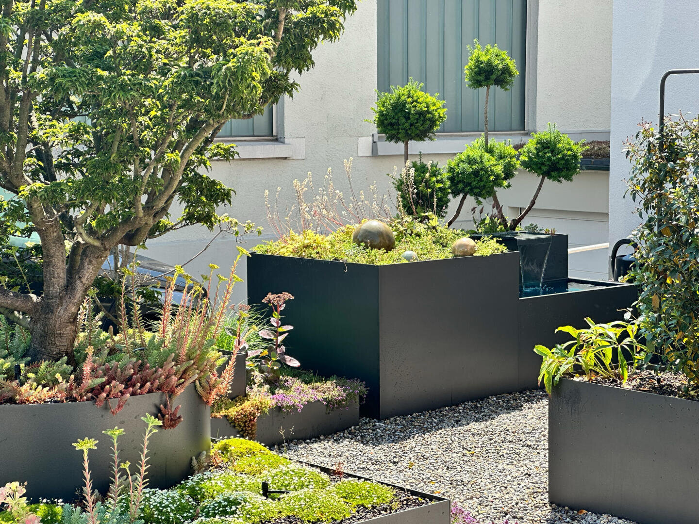 Ein moderner Garten mit schwarzen rechteckigen Pflanzgefäßen, die mit verschiedenen Grünpflanzen und kleinen Sträuchern gefüllt sind, auf einem Kiesgrund in der Nähe eines weißen Gebäudes mit großen Fenstern.