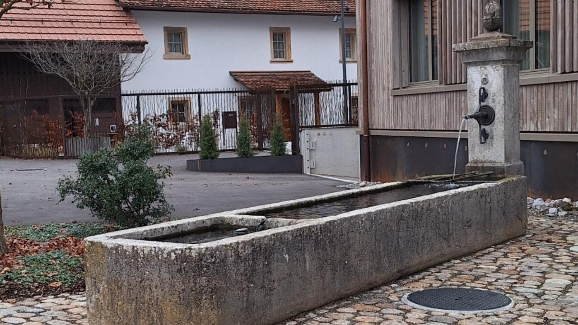 A stone water trough with a fountain stands on a cobblestone area near a building. Water flows from a spout into the trough. In the background, there are trees and buildings with red-tiled roofs.