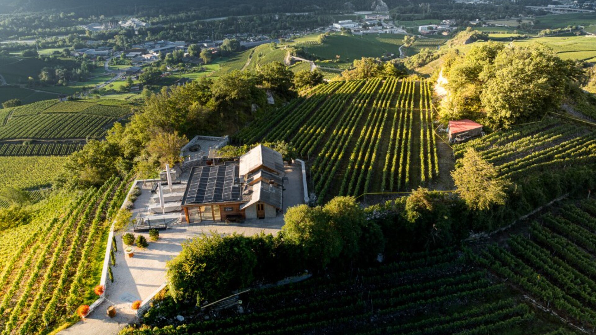 Aerial view of a modern house with solar panels, surrounded by lush green vineyards on rolling hills, with a small red-roofed structure nearby and a town visible in the distance.
