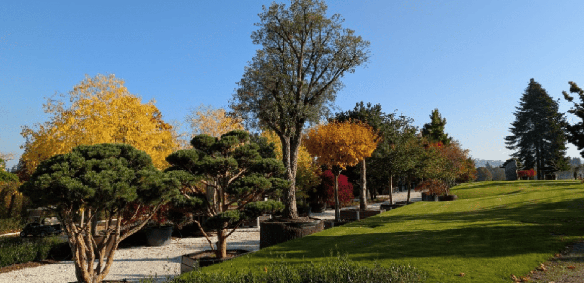 Ein gepflegter Garten mit beschnittenen Bäumen, buntem Herbstlaub in Gelb und Orange, grünem Gras und einem klaren blauen Himmel an einem sonnigen Tag.