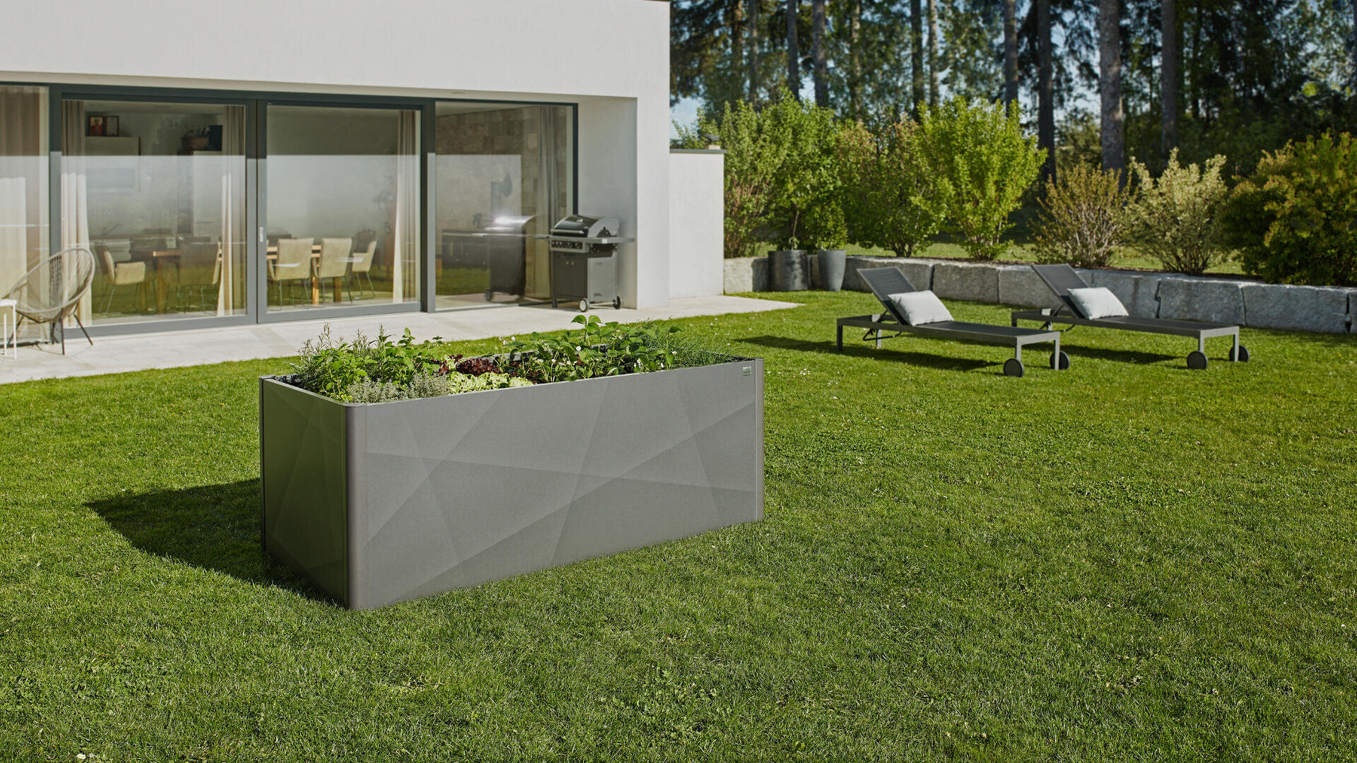 Ein moderner Hinterhof mit grünem Gras, einem großen grauen Pflanzkasten, zwei Liegestühlen, einer Steinterrasse und einem Grill in der Nähe eines weißen Hauses mit großen Glastüren. Im Hintergrund sind Bäume und Sträucher zu sehen.