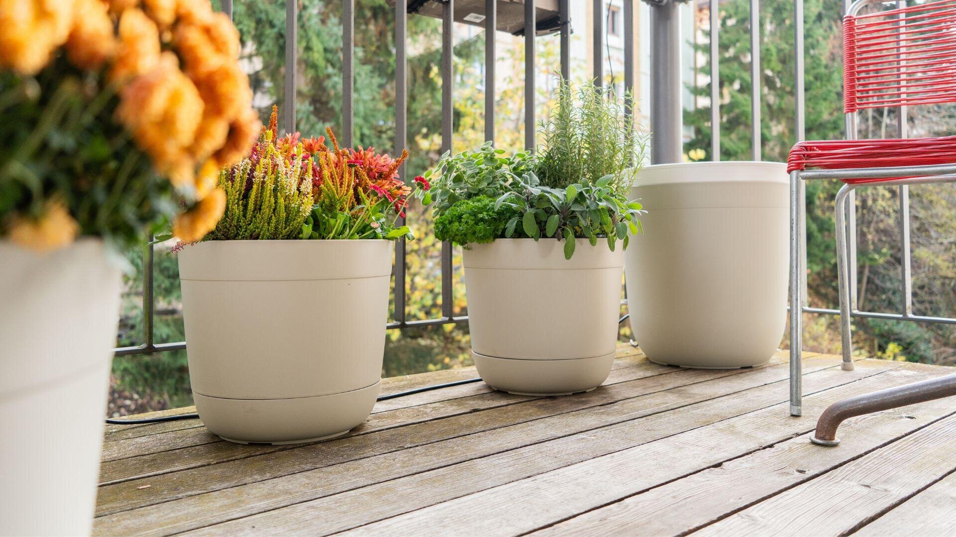 Three beige-colored flower pots with various green and flowering plants stand on a wooden balcony. A red chair stands nearby and trees can be seen through black railings in the background.