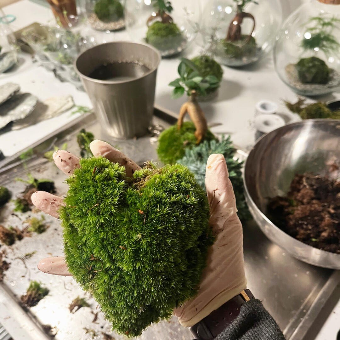 Eine behandschuhte Hand hält einen herzförmigen Klumpen grünen Mooses. Auf dem Tisch befinden sich Moos, Erde, Gartengeräte und Glasterrarien mit Pflanzen, was auf ein Terrarium oder ein laufendes Pflanzenprojekt schließen lässt.