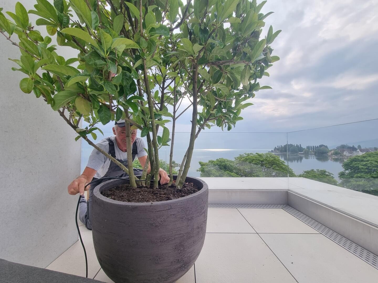 Ein Mann kümmert sich um eine große Topfpflanze auf einer modernen Terrasse mit Glasgeländer, die einen Blick auf einen malerischen See und üppiges Grün unter einem bewölkten Himmel bietet.