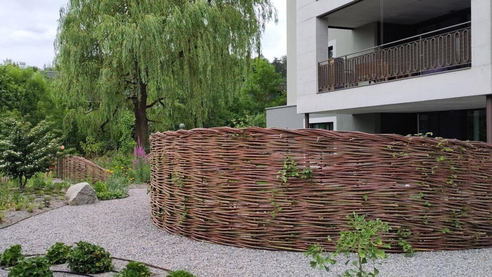 A modern building with a balcony overlooks a garden with gravel paths, lush greenery, and tall willow trees. Curved, woven wooden fences separate garden areas and small plants grow along the path.