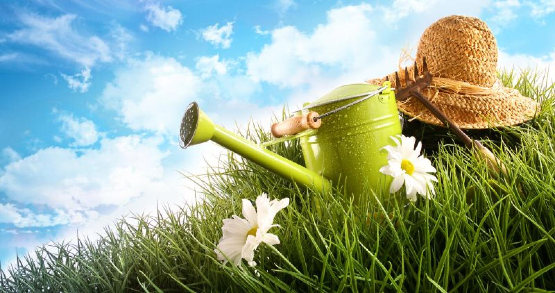 Eine grüne Gießkanne, ein Strohhut und eine kleine Gartenharke liegen auf hohem Gras mit weißen Gänseblümchen unter einem strahlend blauen Himmel mit Wolken.