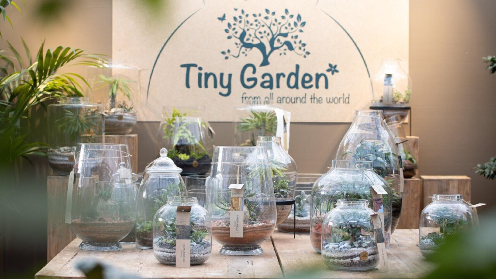 A display of glass terrariums with various plants arranged on wooden surfaces in front of a sign that reads “Tiny Garden from all around the world.” Green plants and blurred leaves frame the scene.