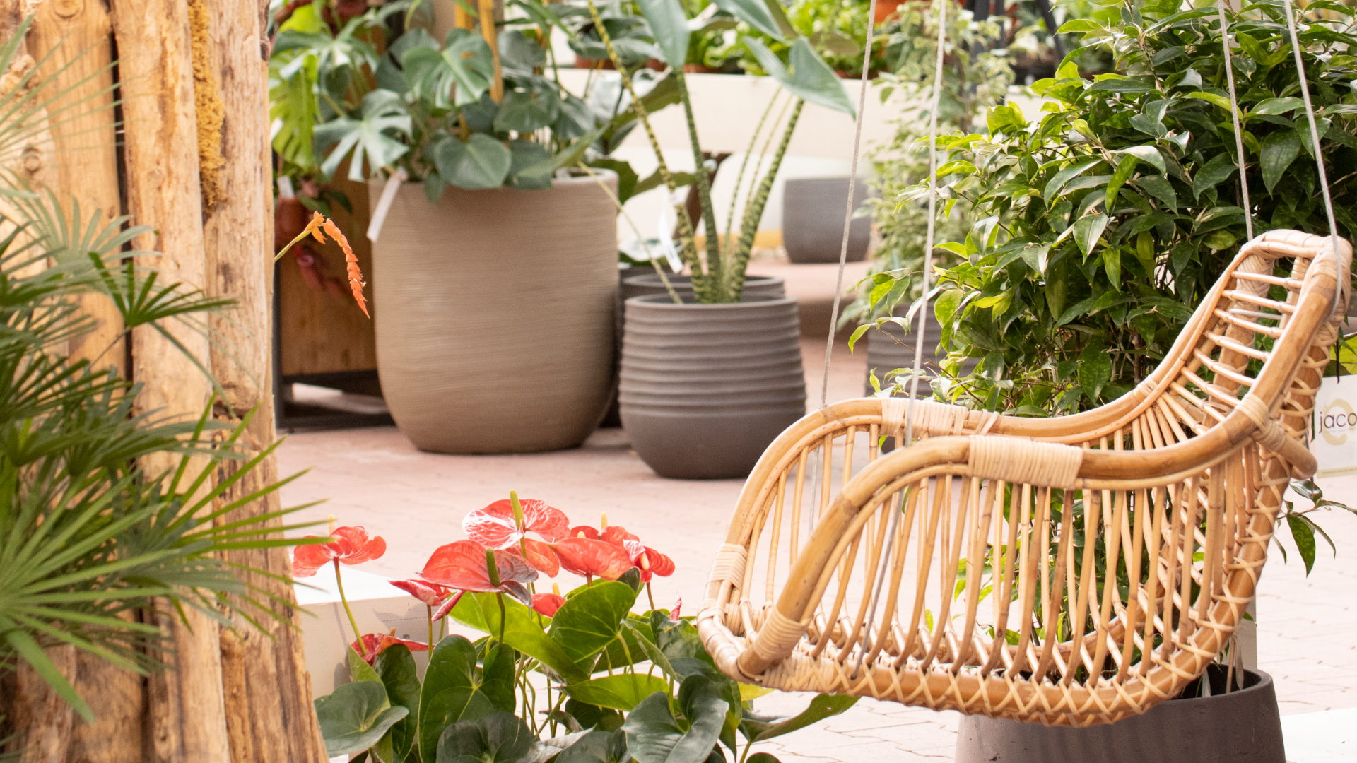 Ein Hängesessel aus Weidengeflecht ist umgeben von grünen Topfpflanzen und roten Blumen auf einer Terrasse mit Backsteinboden und schafft eine gemütliche, gartenähnliche Atmosphäre.