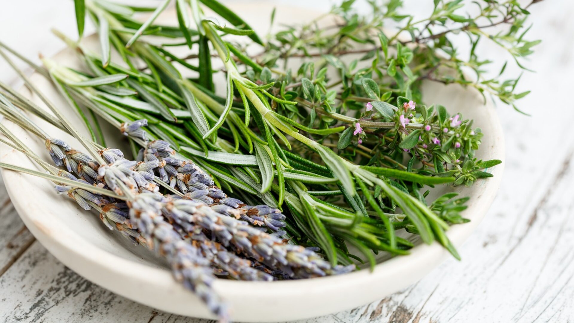 Eine weiße Schale, gefüllt mit frischen Rosmarinzweigen, Thymian mit kleinen violetten Blüten und Lavendelstängeln, die auf einer rustikalen weißen Holzfläche ruhen.
