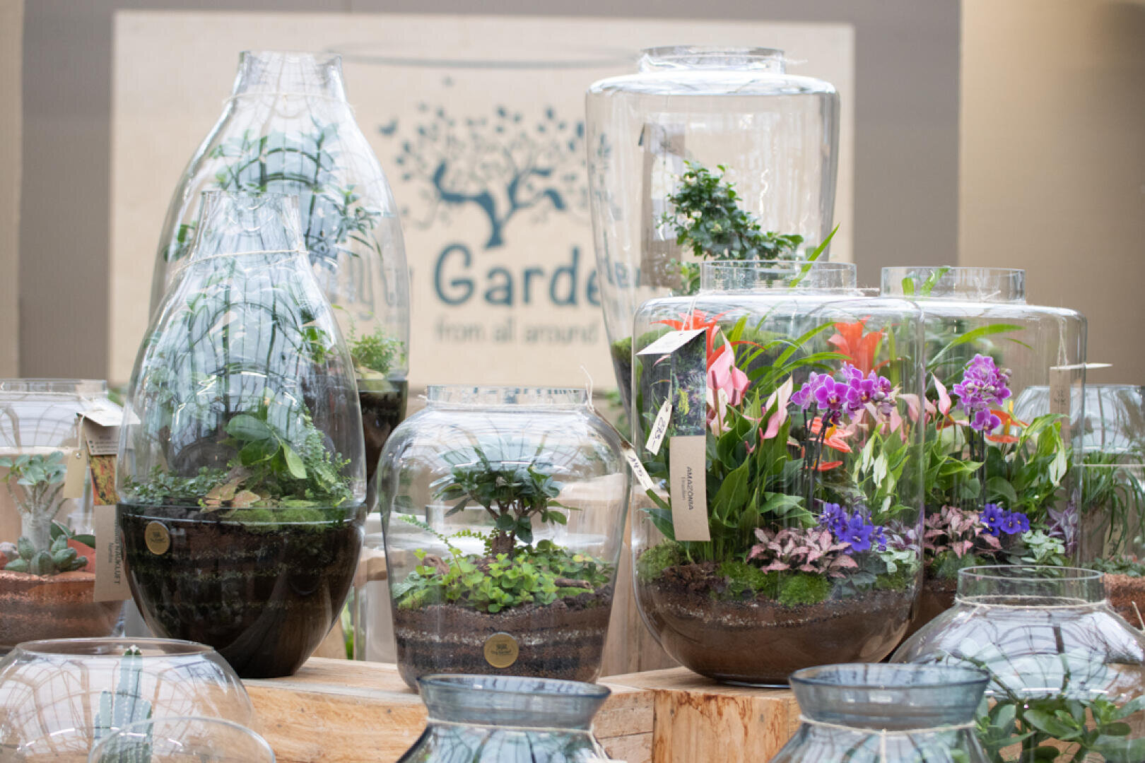 Several glass terrariums in various shapes and sizes contain green plants and colorful flowers displayed on wooden stands against a blurred background with horticultural lettering.