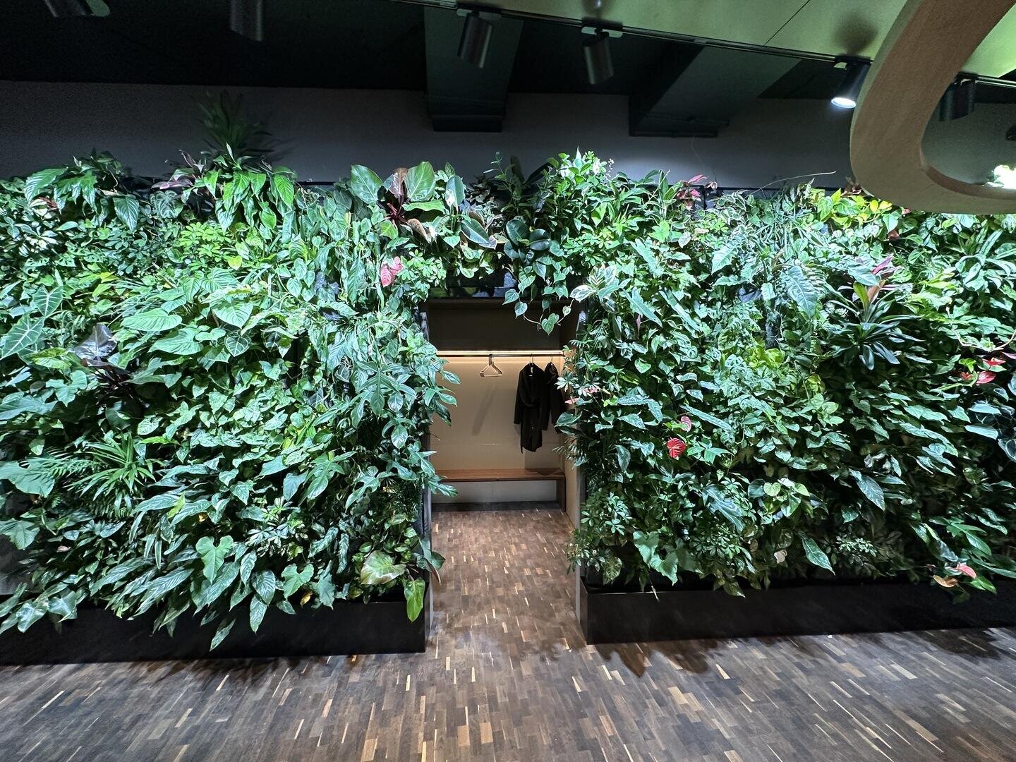 Eine Tür, umgeben von einer üppig grünen, lebenden Wand mit verschiedenen Pflanzen, führt in eine Garderobe, in der Jacken hängen. Der Boden ist aus Holz, und ein Teil der Decke ist darüber sichtbar.