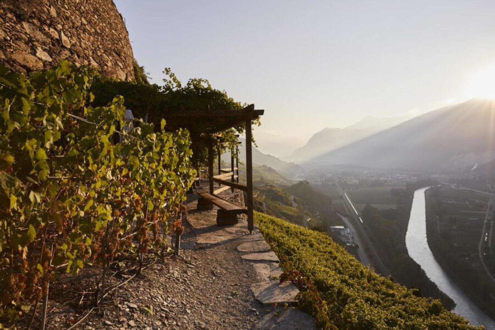 Ein Weinberg auf einem Hügel bei Sonnenuntergang, mit Weinreben an einem Steinweg und einer hölzernen Pergola mit Blick auf einen Fluss und ein Tal mit Bergen in der Ferne. Die Sonnenstrahlen dringen durch einen dunstigen Himmel.