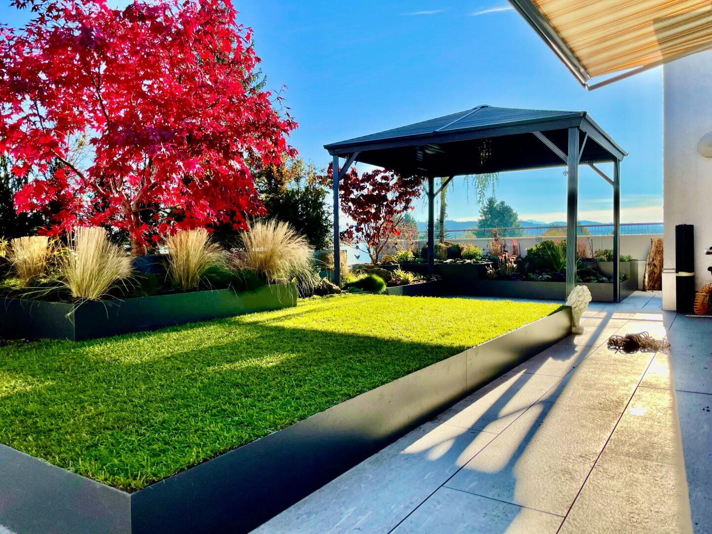 Ein moderner Hinterhof mit grünem Rasen, Ziergräsern und einem rotblättrigen Baum sowie einem schwarzen Pavillon, der Schatten spendet. Der Bereich wird von eleganten Pflanzgefäßen und einer gefliesten Terrasse unter blauem Himmel eingefasst.
