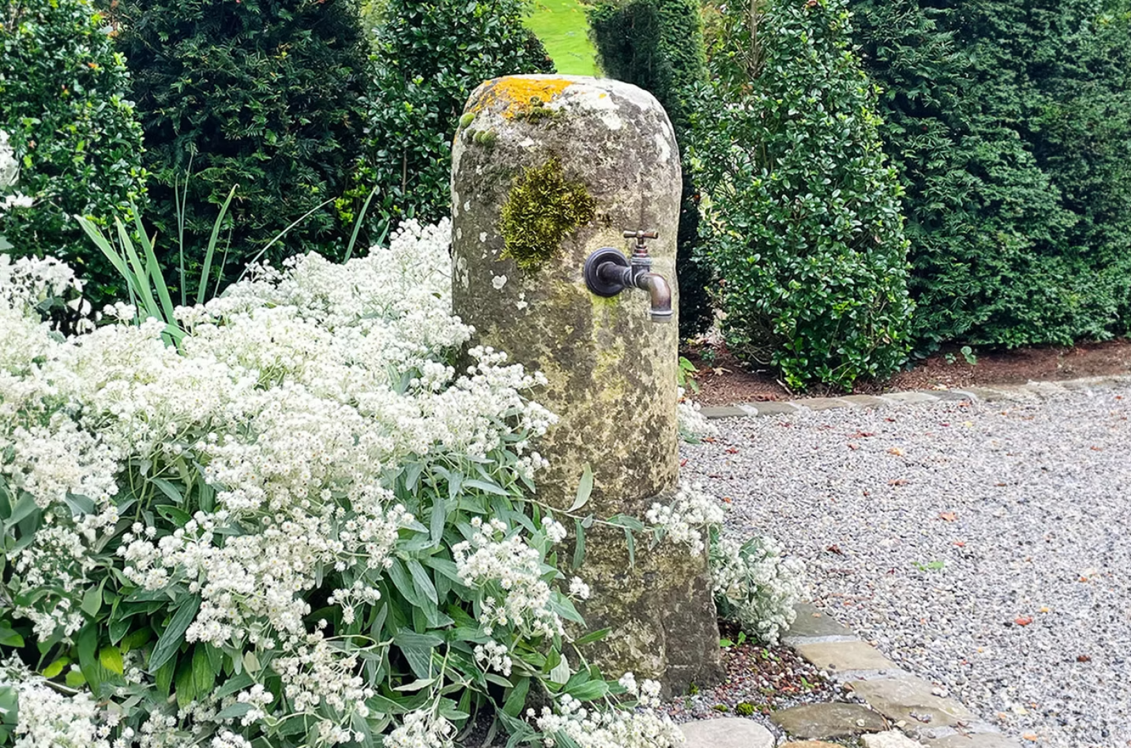 Ein steinerner Wasserhahn, umgeben von weiß blühenden Pflanzen und Grünzeug, mit Kies und Pflastersteinen im Vordergrund.