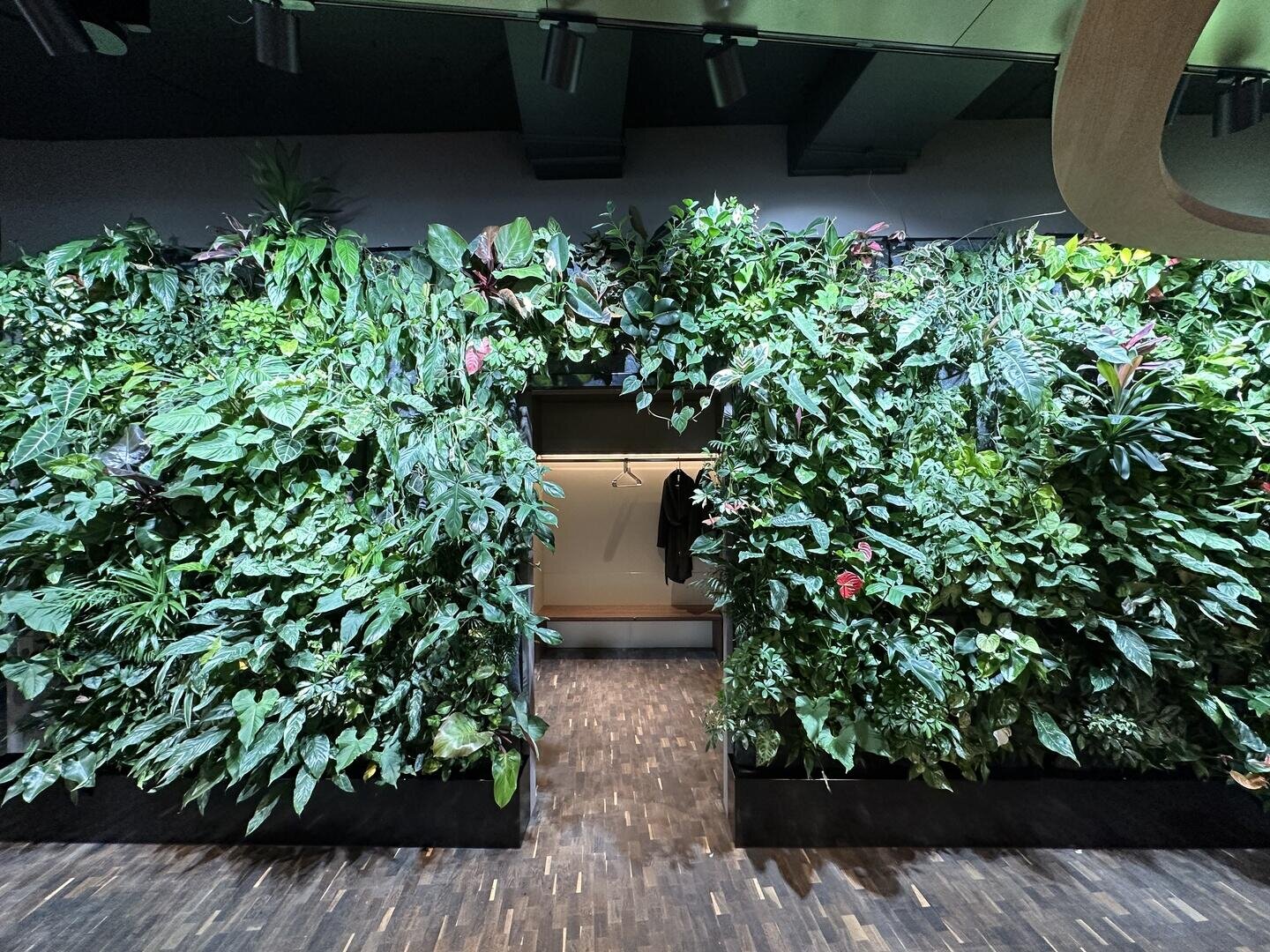 Eine üppige grüne Wand im Innenbereich, gefüllt mit einer Vielzahl von lebhaften Pflanzen, mit einer Tür in der Mitte, die teilweise von Laub bedeckt ist. Der Raum hat einen Holzfußboden und eine moderne Decke mit Beleuchtung.