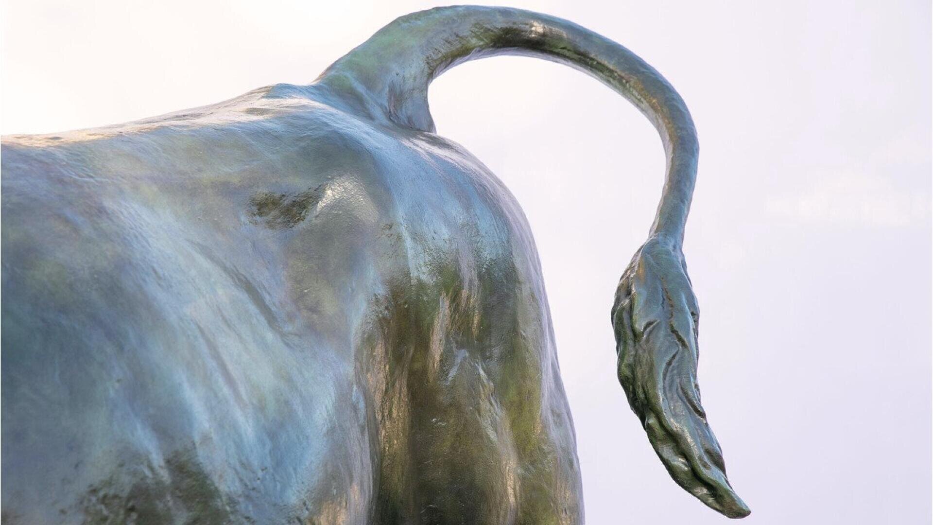 Close-up of a bronze bull statue focusing on its curved tail, with a light background.
