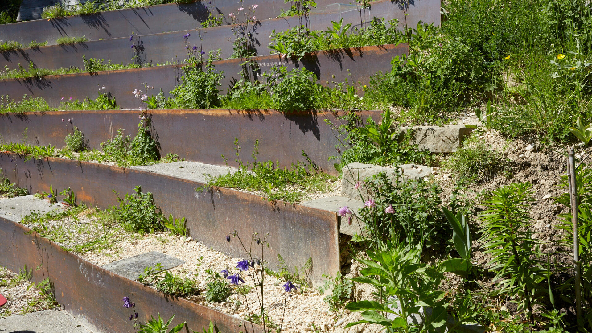 Terrassenförmige Gartenbeete aus verrostetem Metall, gefüllt mit Erde, Kies und einer Vielzahl von Grünpflanzen und Wildblumen, angeordnet an einem Hang mit kleinen Steinstufen auf der rechten Seite.