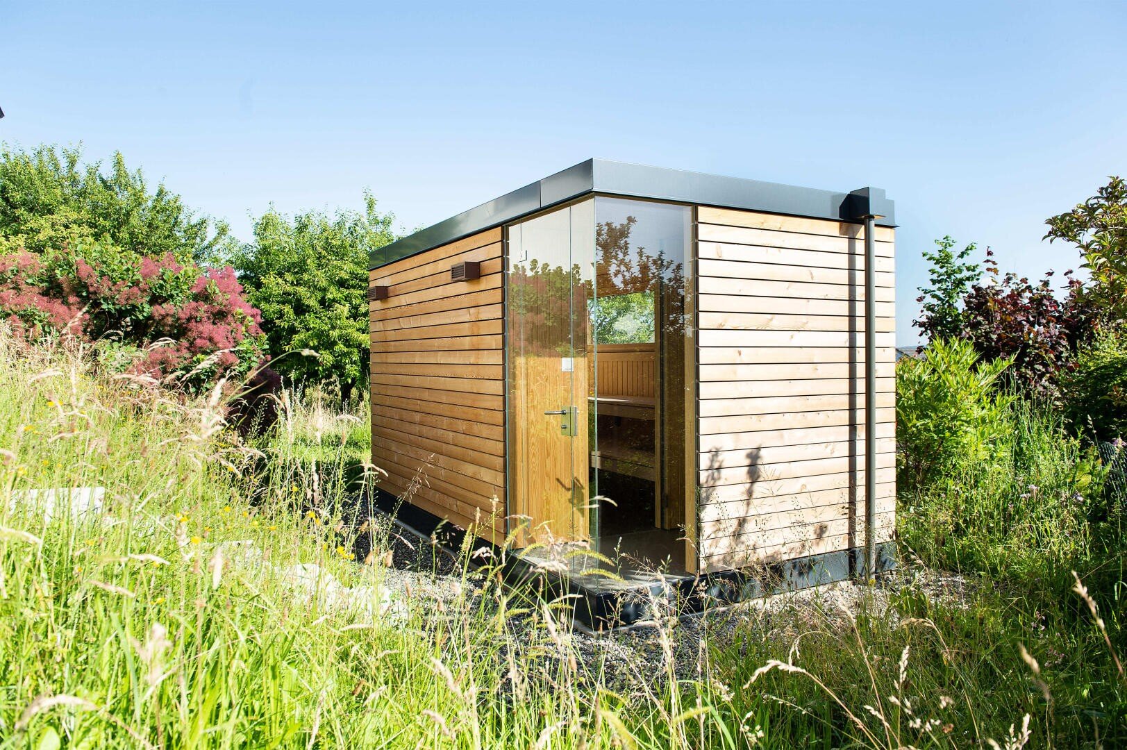 A small, modern wooden hut with large glass windows is surrounded by tall grass and lush greenery under a clear blue sky.