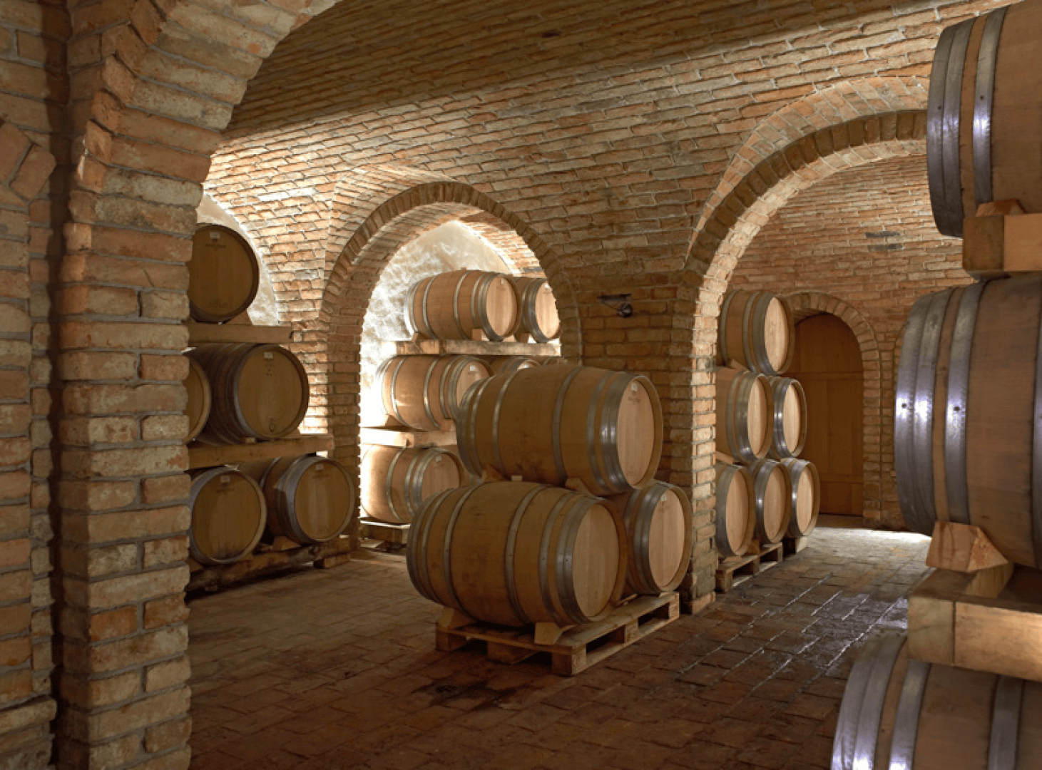 A dimly lit wine cellar with arched brick ceilings and walls, holding several wooden barrels stacked on pallets. The floor is made of bricks, and the atmosphere is rustic and historic.