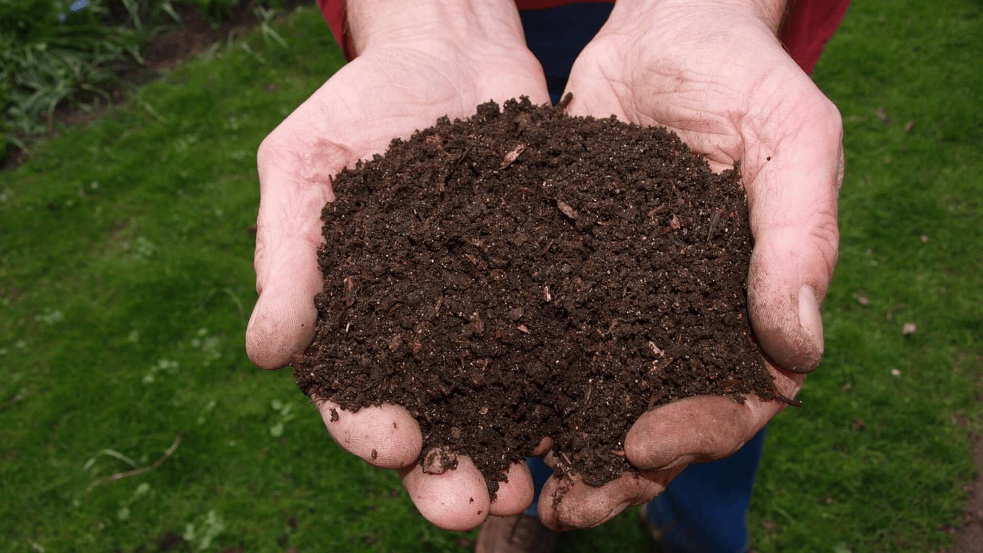 Eine Person hält eine große Handvoll reicher, dunkler Erde in den Händen, darunter ist ein grüner grasbewachsener Hintergrund zu sehen.