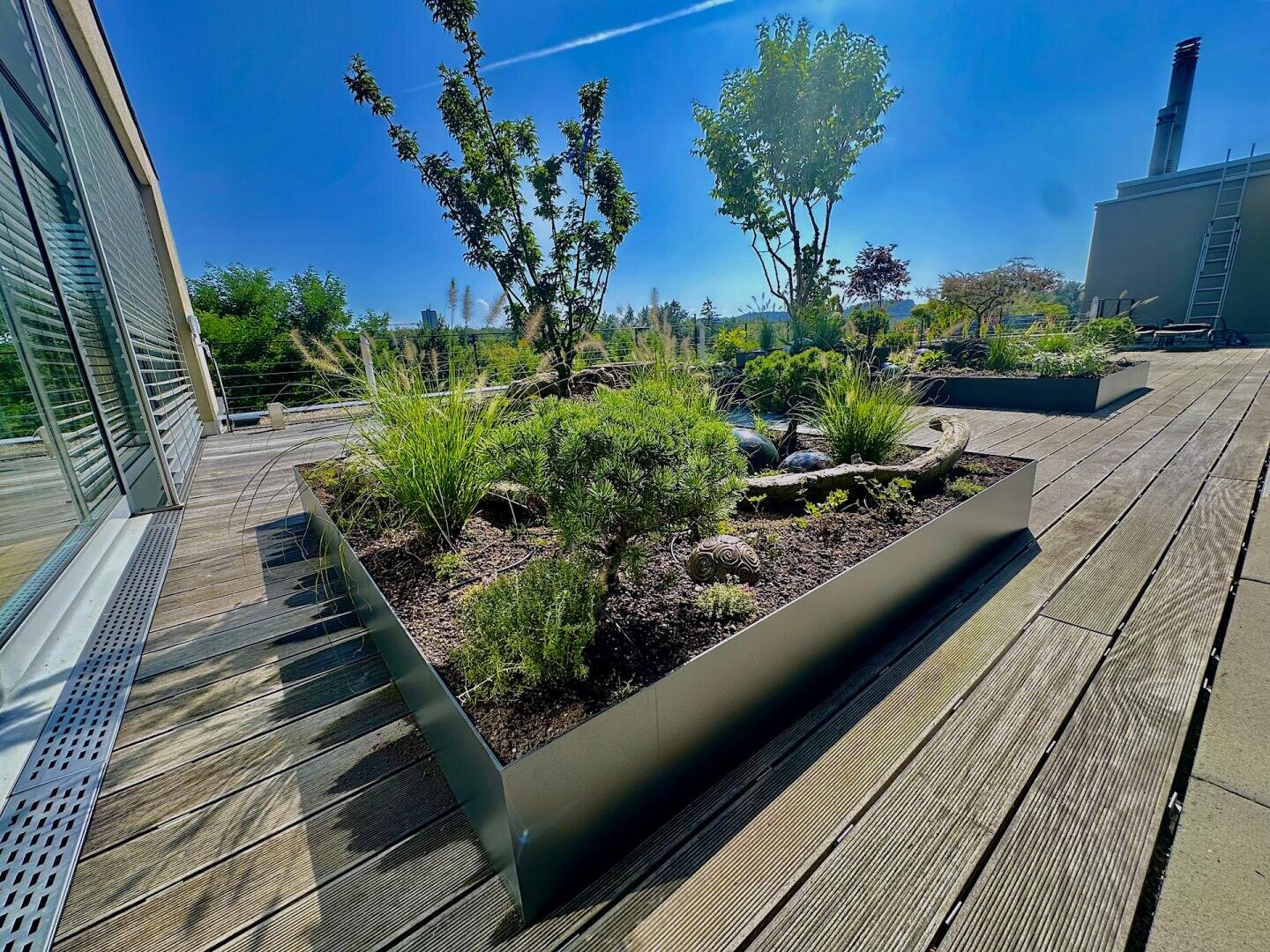 Ein Dachgarten mit erhöhten Metallkübeln mit kleinen Bäumen, Sträuchern und Gräsern, umgeben von einer Holzterrasse unter einem strahlend blauen Himmel.