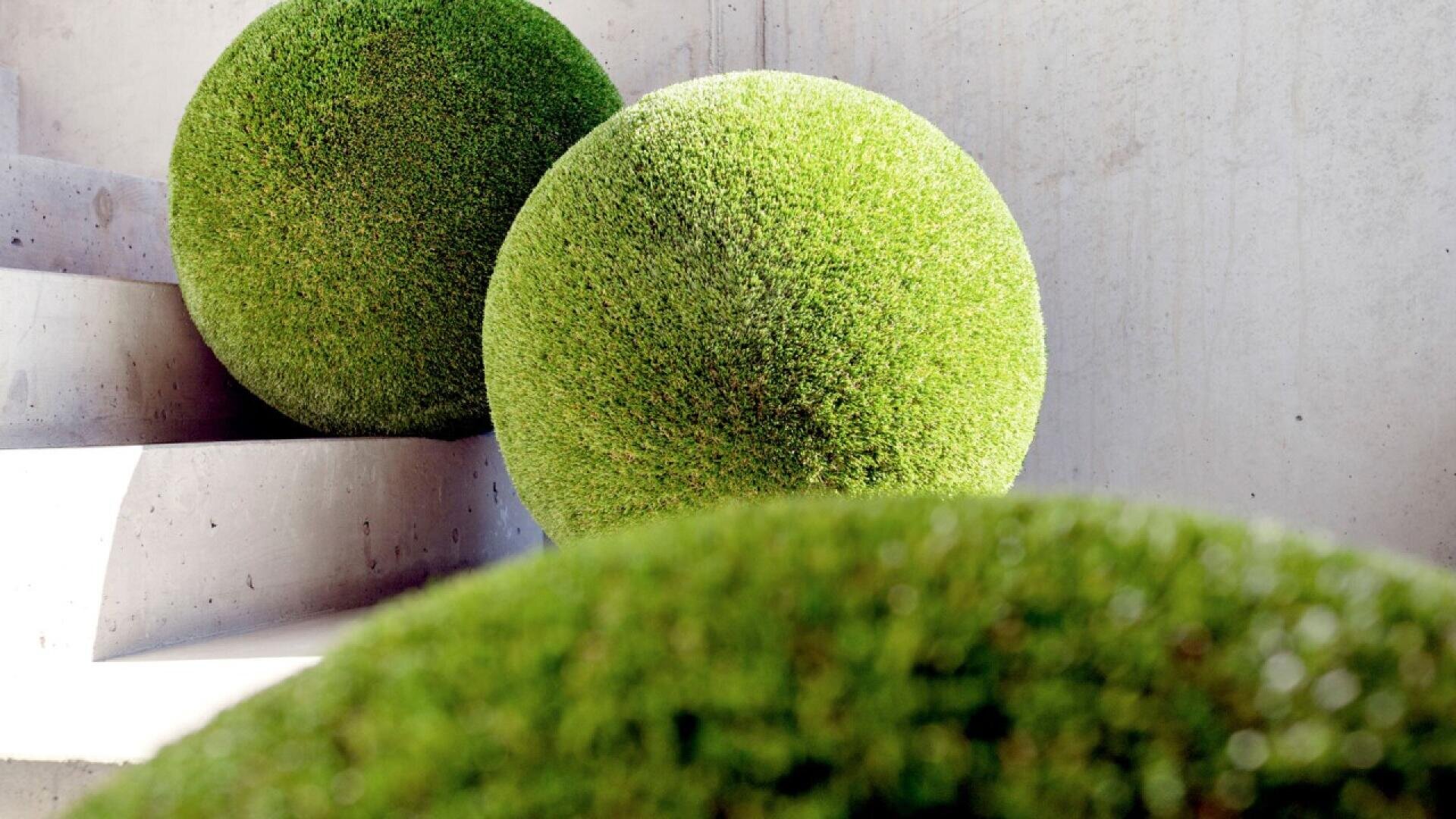 Three large, perfectly trimmed green moss balls placed on concrete steps, with sunlight casting soft shadows and a white wall in the background. The focus is on the round texture of the moss balls.