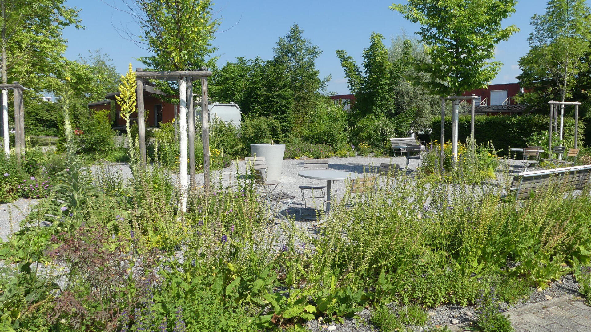 Ein Garten mit Grünpflanzen und Wildblumen umgibt eine Kiesfläche mit Metallstühlen und Tischen. Bäume spenden Schatten, und im Hintergrund sind Gebäude unter einem klaren blauen Himmel zu sehen.