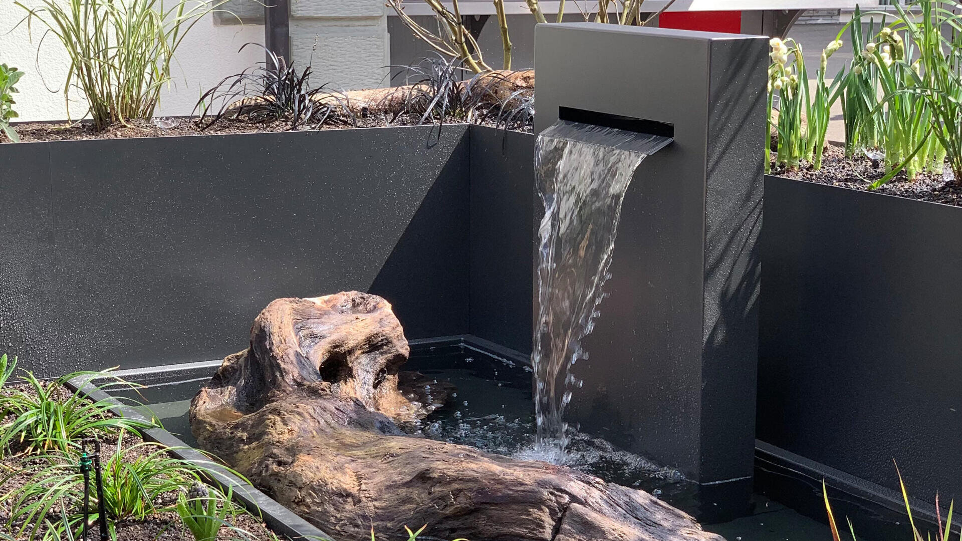 Ein moderner schwarzer Metallbrunnen gießt Wasser in einen kleinen Teich mit einem großen Stück Treibholz, umgeben von Erde und Grünpflanzen in einer minimalistischen Gartenumgebung.