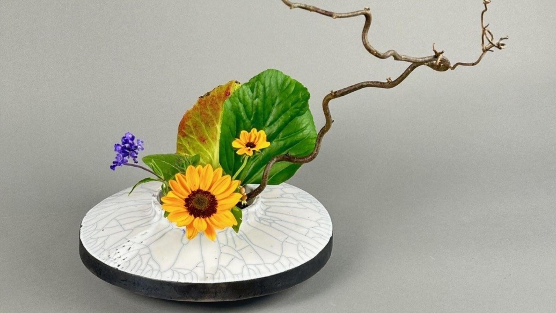 Ein minimalistisches Blumenarrangement mit gelben Gänseblümchen, einem grünen und roten Blatt, einer kleinen lila Blume und einem verdrehten kahlen Zweig in einer weißen, runden Vase mit Rissmuster vor einem schlichten grauen Hintergrund.