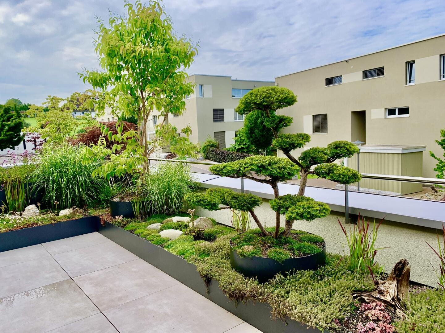 Ein moderner Dachgarten mit gepflegten Bonsai-Bäumen, üppigen Grünpflanzen und Gras in Hochbeeten vor dem Hintergrund moderner beigefarbener Wohnhäuser und einem teilweise bewölkten Himmel.