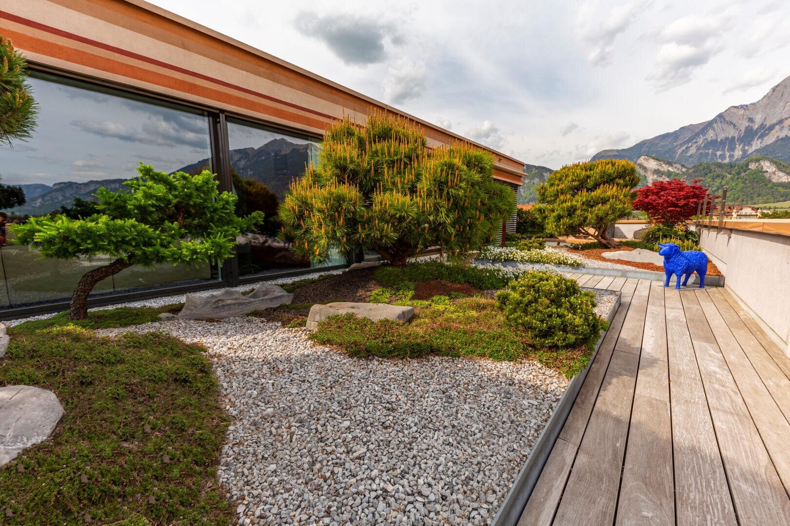 A modern roof garden with small trees, shrubs, white gravel and a wooden walkway. A blue sheep sculpture stands next to a red-leaved shrub, with the mountains in the background.